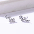 2021 Fashion Round Zircon Stud Earrings For Women 925 Silver Needle Crystal Wedding Earrings Bridal Jewelry Gift Brinco