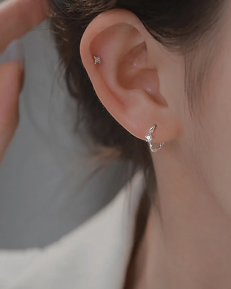 925 Sterling Silver Zircon Ring Stud Earrings For Women Wedding Elegant Luxury Designer Jewelry Wholesale Prevent Allergies