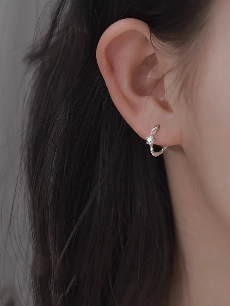 925 Sterling Silver Zircon Ring Stud Earrings For Women Wedding Elegant Luxury Designer Jewelry Wholesale Prevent Allergies