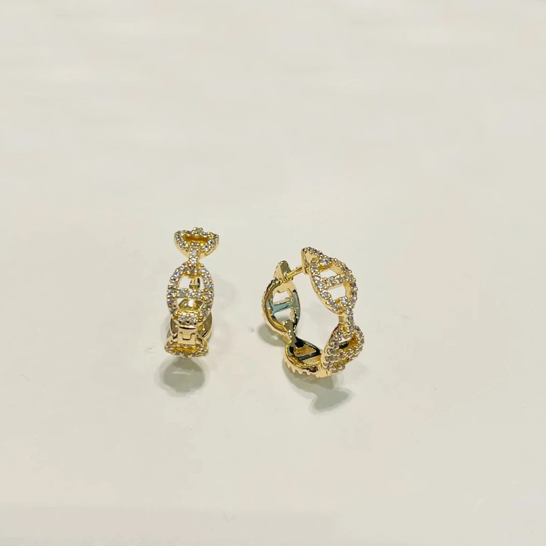 New 925 Sterling Silver Zircon Inlaid Women's Earrings, A Fashionable And Niche Gift.