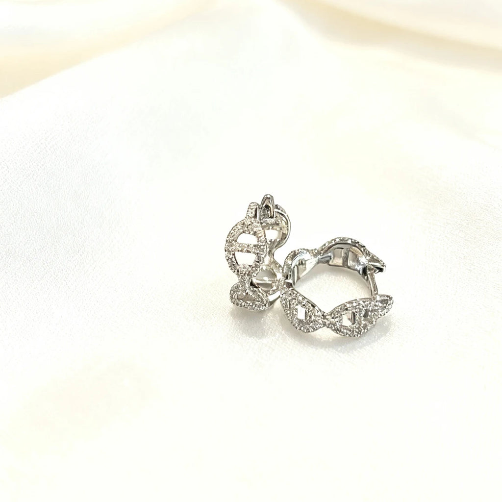 New 925 Sterling Silver Zircon Inlaid Women's Earrings, A Fashionable And Niche Gift.