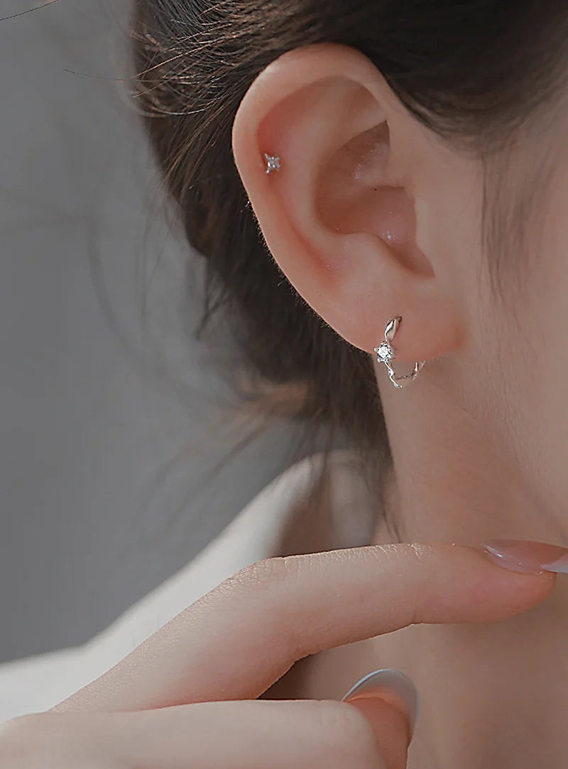 925 Sterling Silver Zircon Ring Stud Earrings For Women Wedding Elegant Luxury Designer Jewelry Wholesale Prevent Allergies
